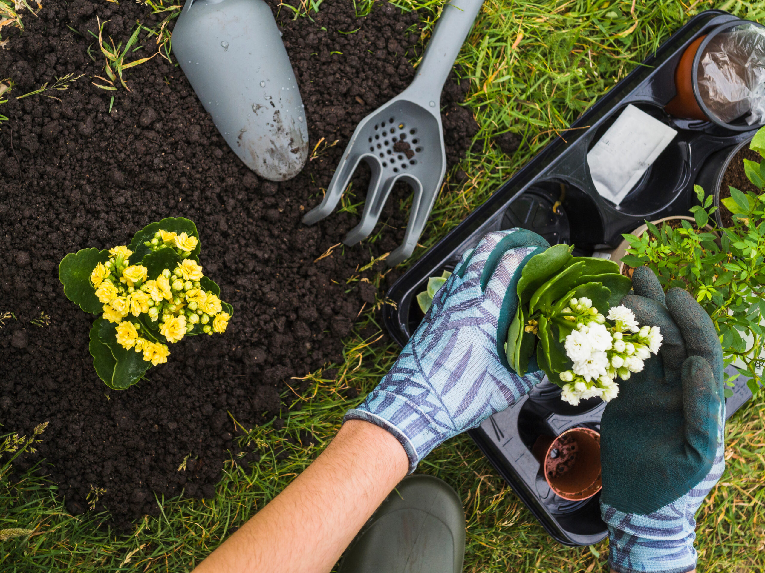 Propagation and Plant Production